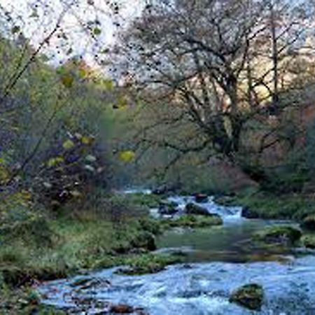 Appartamento Apartamento Jardines del Sella Onís Esterno foto