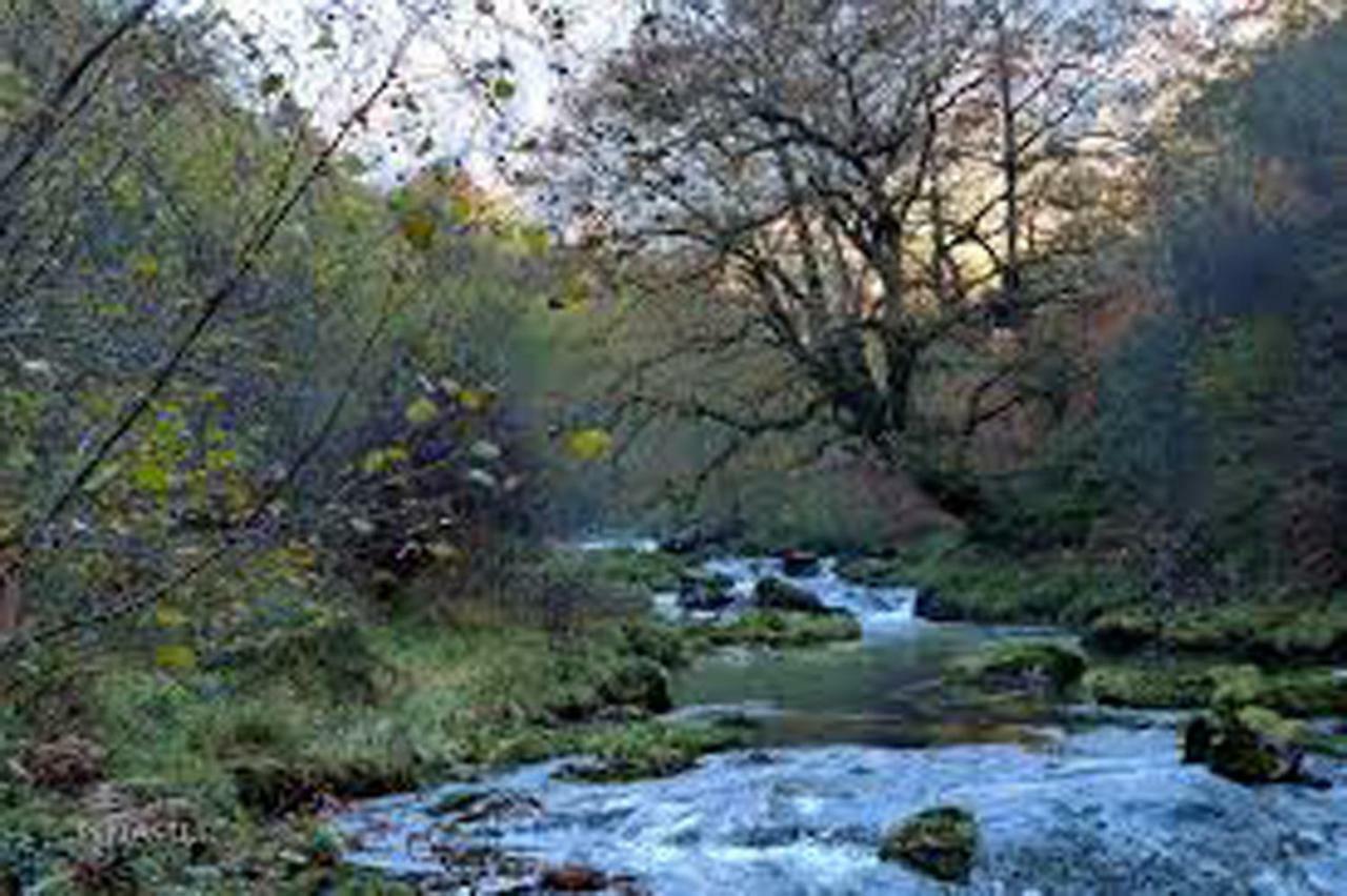 Appartamento Apartamento Jardines del Sella Onís Esterno foto